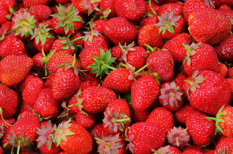 primeur-VILLARS SUR VAR-min_strawberries-528791